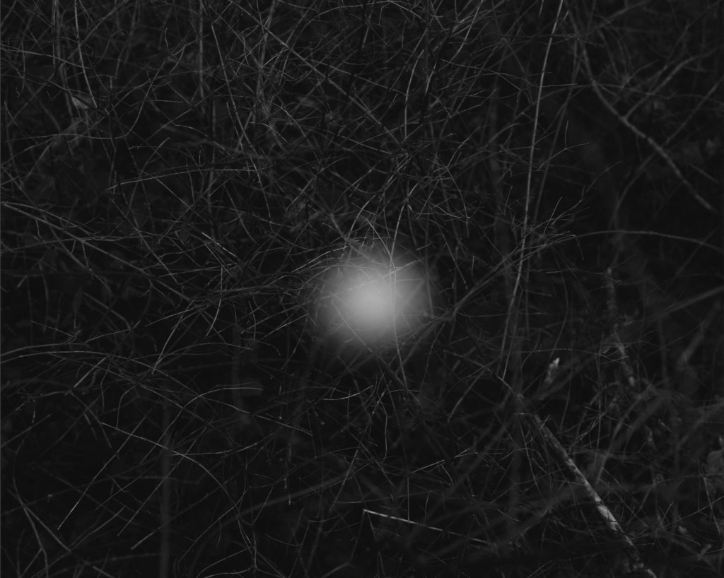 Screenshot 2025 12 03 at 10 21 23 AM