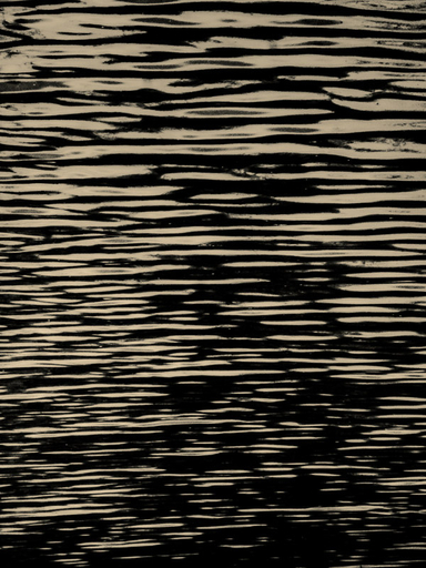 Francisco Gonzalez Camacho Elsewhere 14