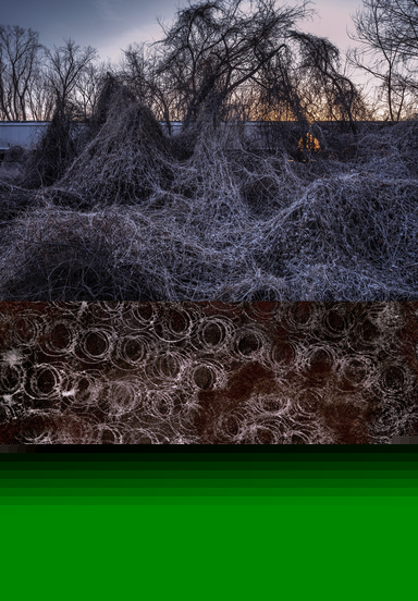 6 Kudzu