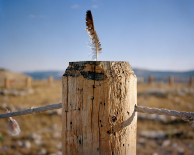 Copy of Eagle Feather Medicine Wheel