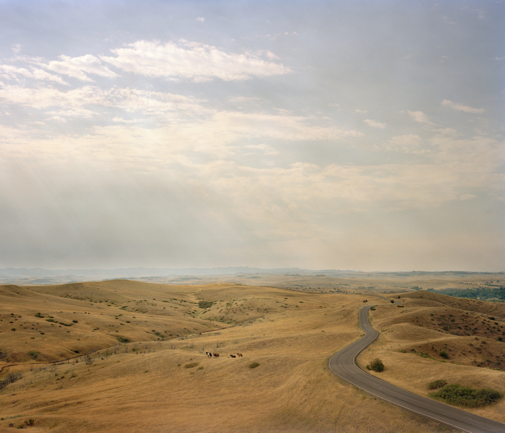 Copy of Wild Horses and Road